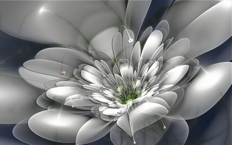 Witte bloem met groen hart u36925p 900x563 - Witte bloem met groen hart - tegory