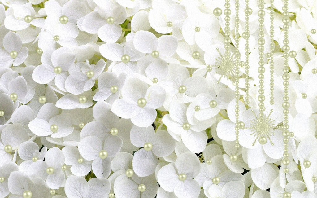 Groep witte bloemen Groep witte bloemen