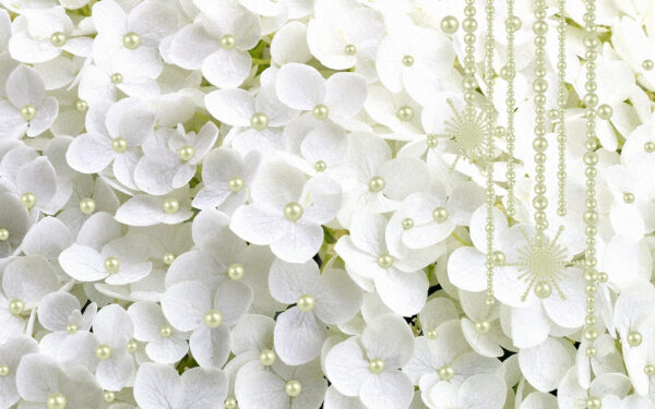 Groep witte bloemen Groep witte bloemen