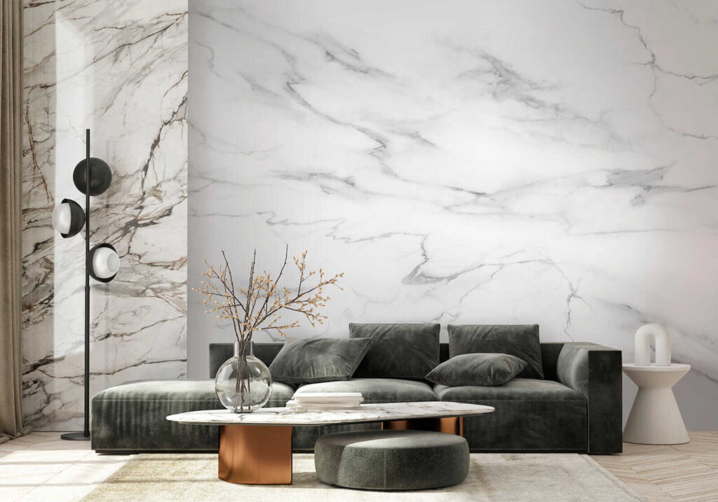 White marble with black veins White marble with black veins