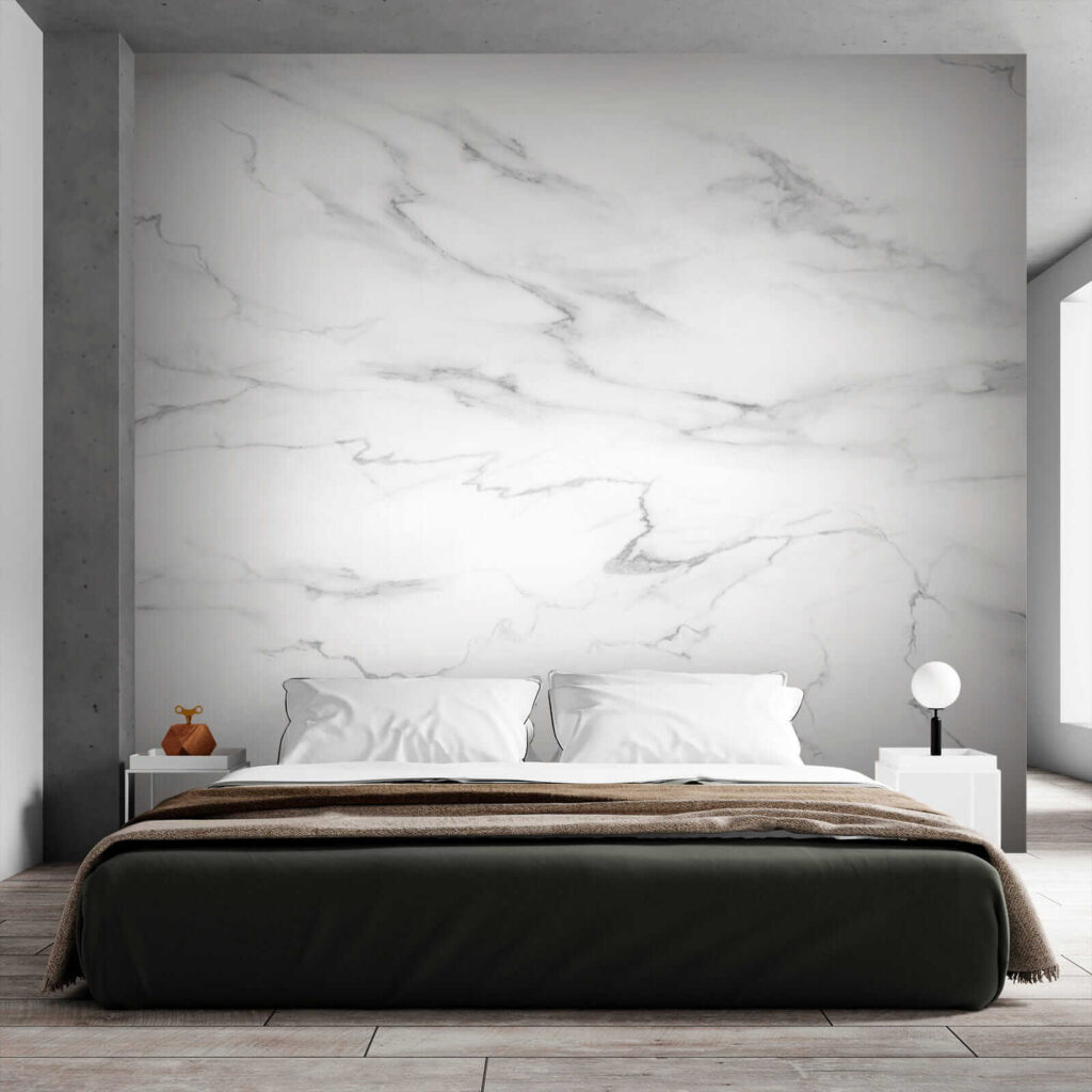White marble with black veins White marble with black veins