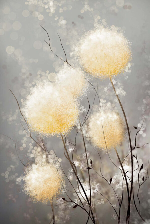 Groep witte en gele bloemen Groep witte en gele bloemen