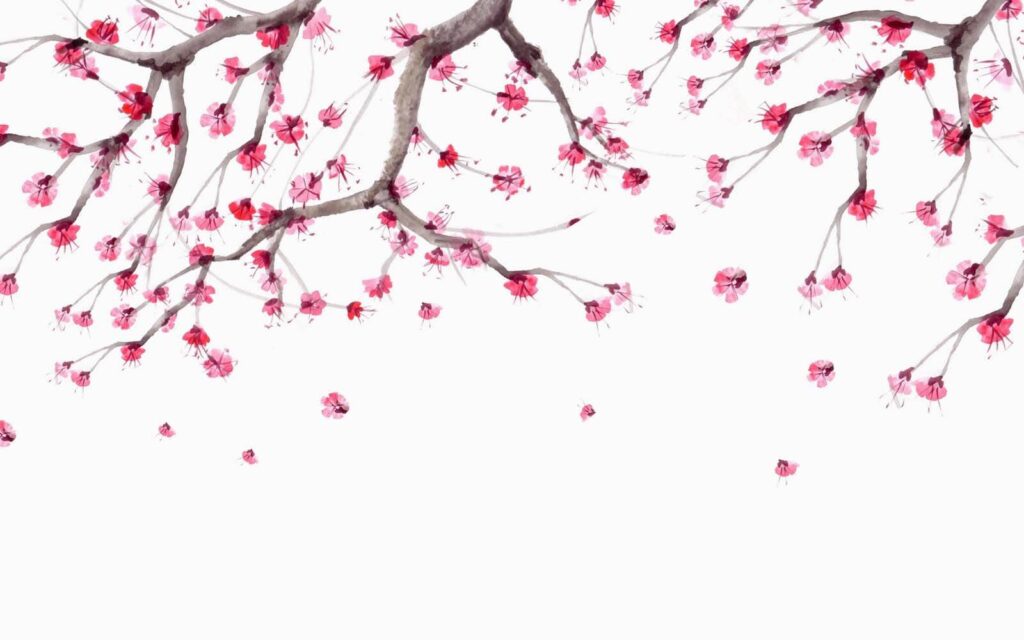 Boom met roze bloemen Boom met roze bloemen