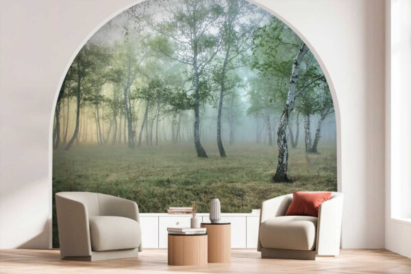 Mistig bos met bomen Mistig bos met bomen
