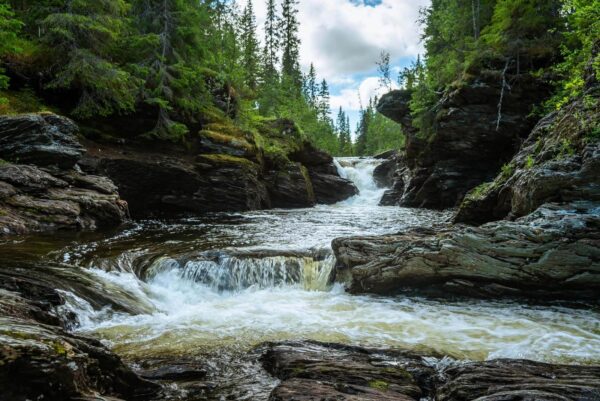 Rivier met rotsen en bomen Rivier met rotsen en bomen