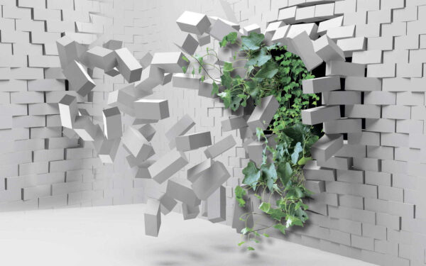 Plant die door een muur breekt Plant die door een muur breekt