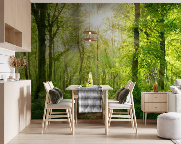 Path through a forest with trees and plants Path through a forest with trees and plants