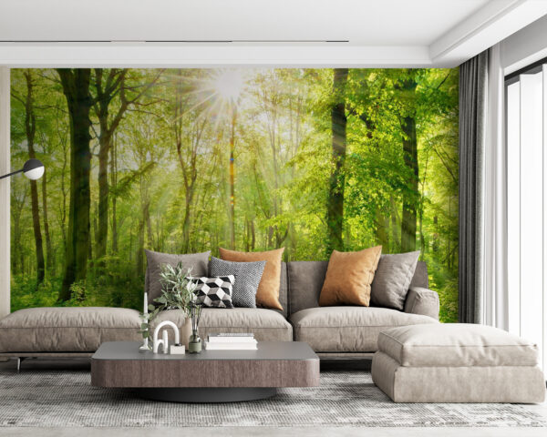 Path through a forest with trees and plants Path through a forest with trees and plants