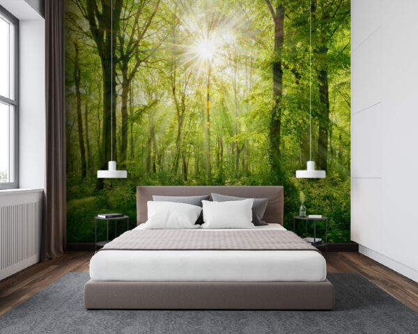 Pad door een bos met bomen en planten Fotobehang Pad door een bos met bomen en planten