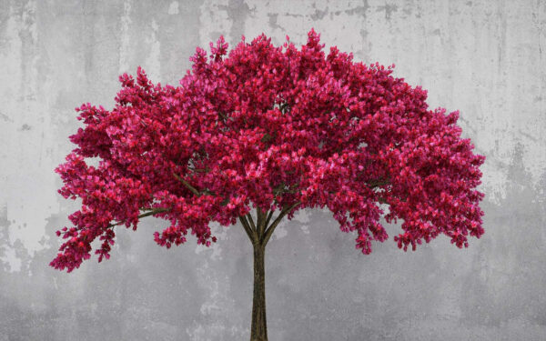 Boom met roze bloemen Boom met roze bloemen