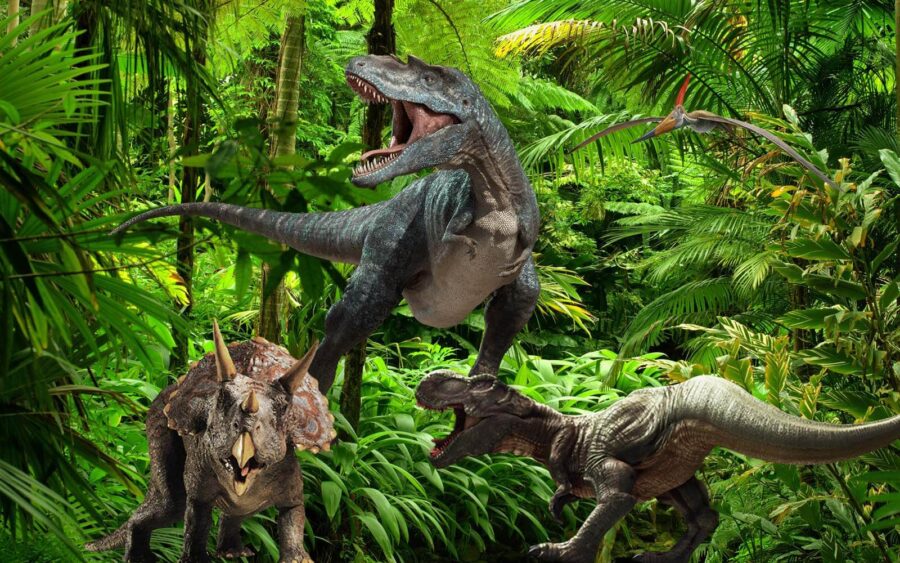 Groep dinosaurussen in een bos