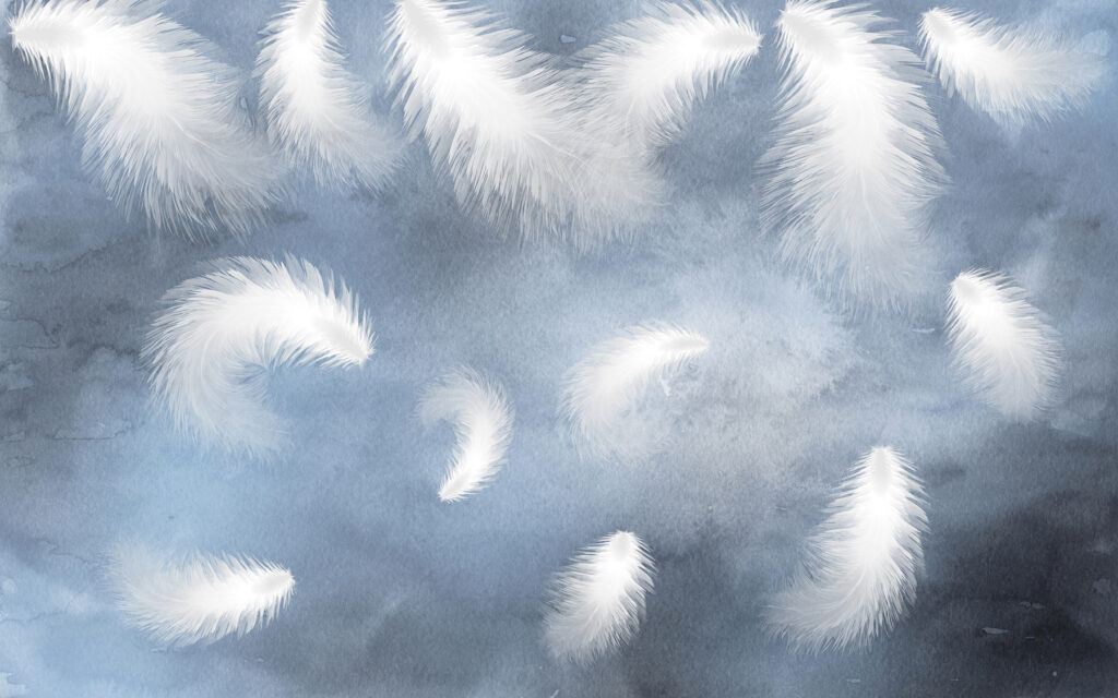 Witte veren in de lucht Witte veren in de lucht