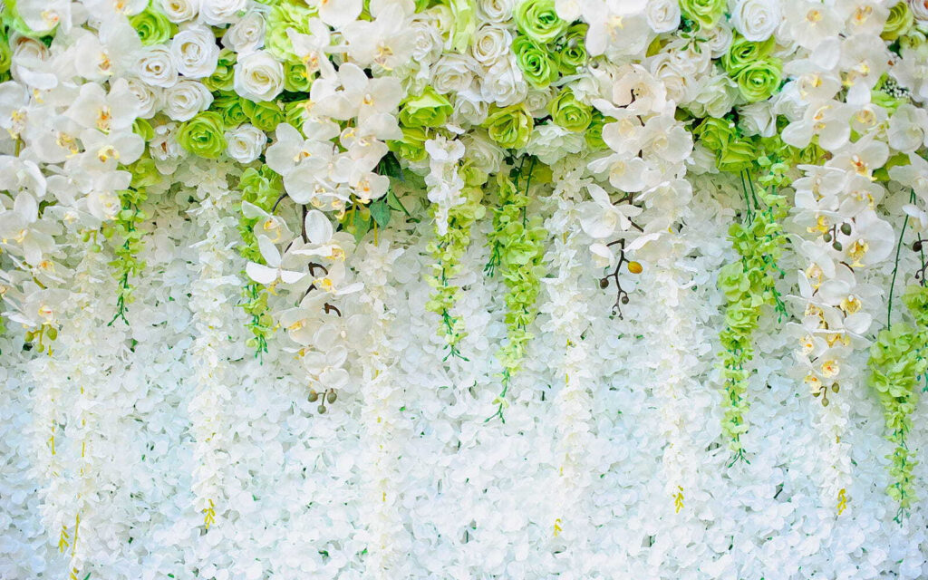 Muur van bloemen en wijnranken Muur van bloemen en wijnranken