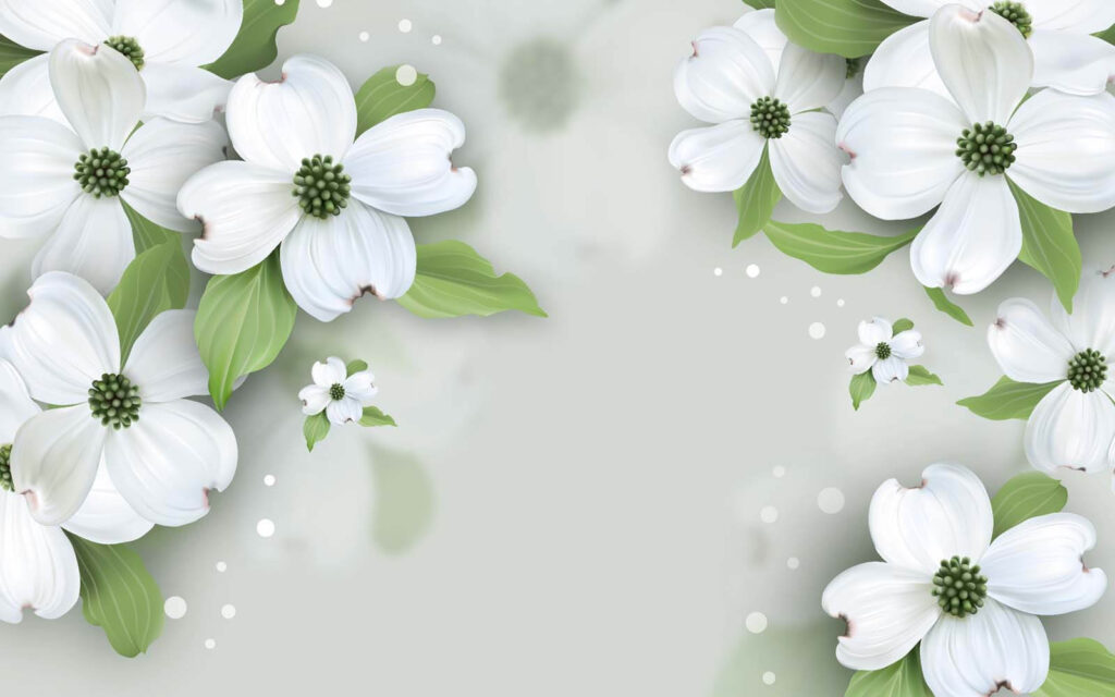 Witte bloemen met groene bladeren Witte bloemen met groene bladeren