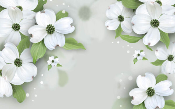 Witte bloemen met groene bladeren Witte bloemen met groene bladeren