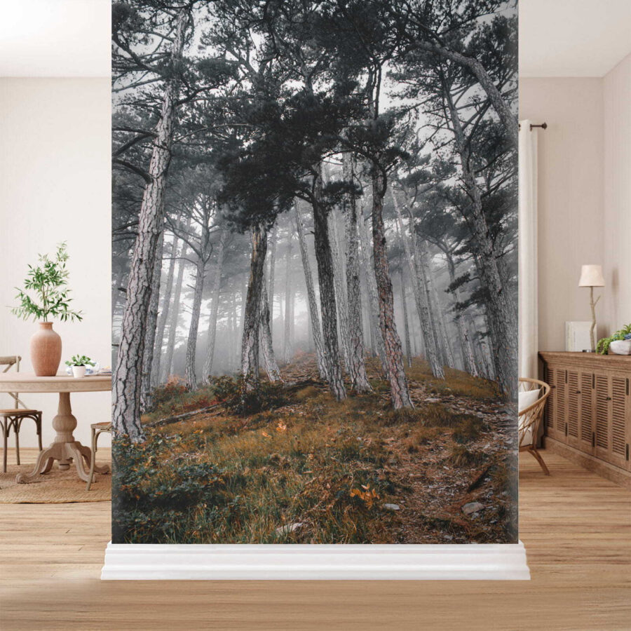 Bos met bomen in de mist