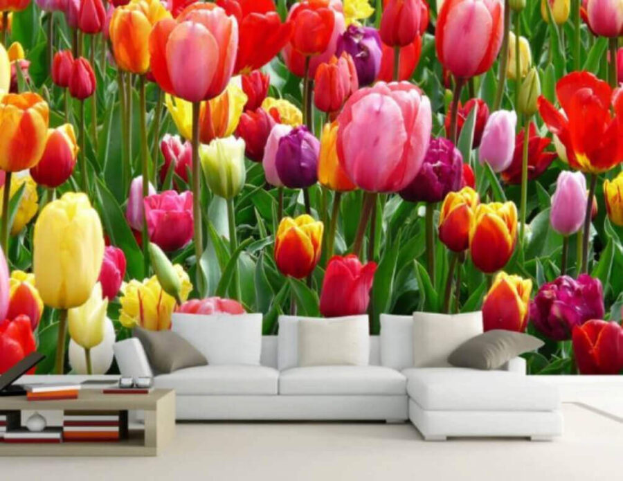 Groep kleurrijke tulpen