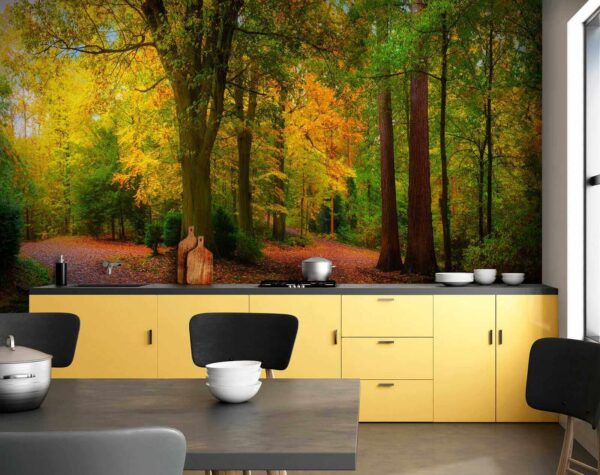 Path with trees and leaves on it