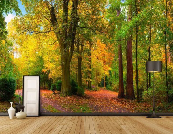 Pad met bomen en bladeren Fotobehang Pad met bomen en bladeren