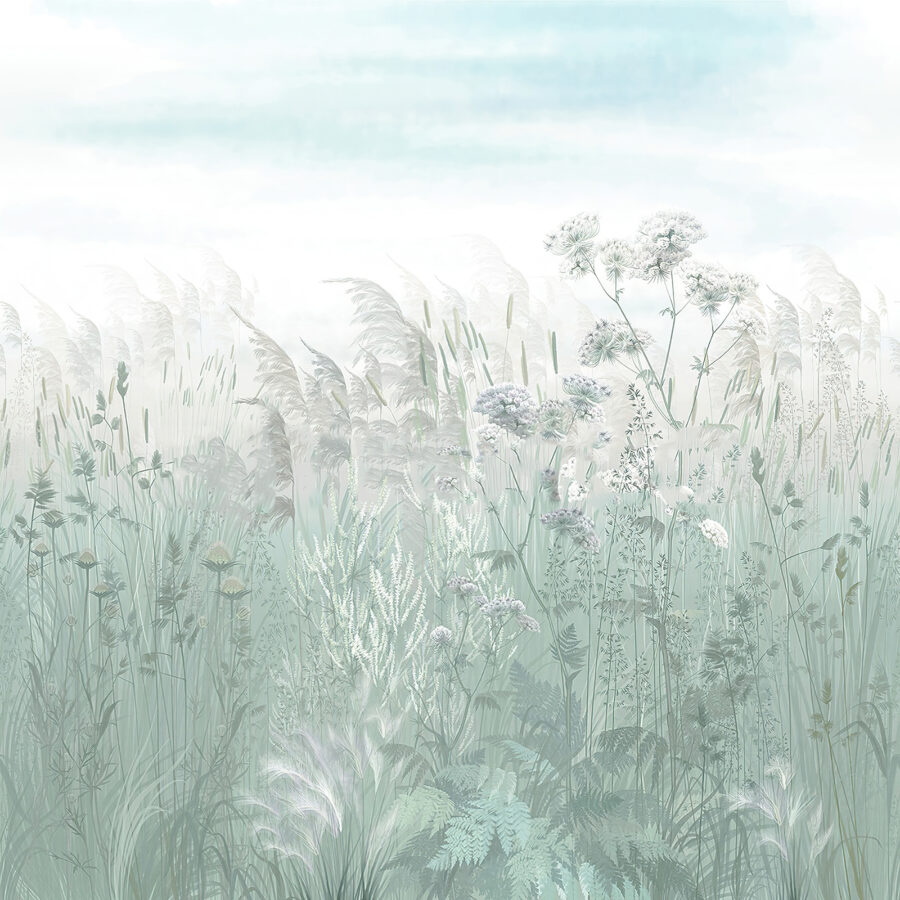 Veld met gras en bloemen