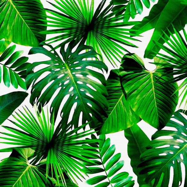 Groep groene bladeren Groep groene bladeren