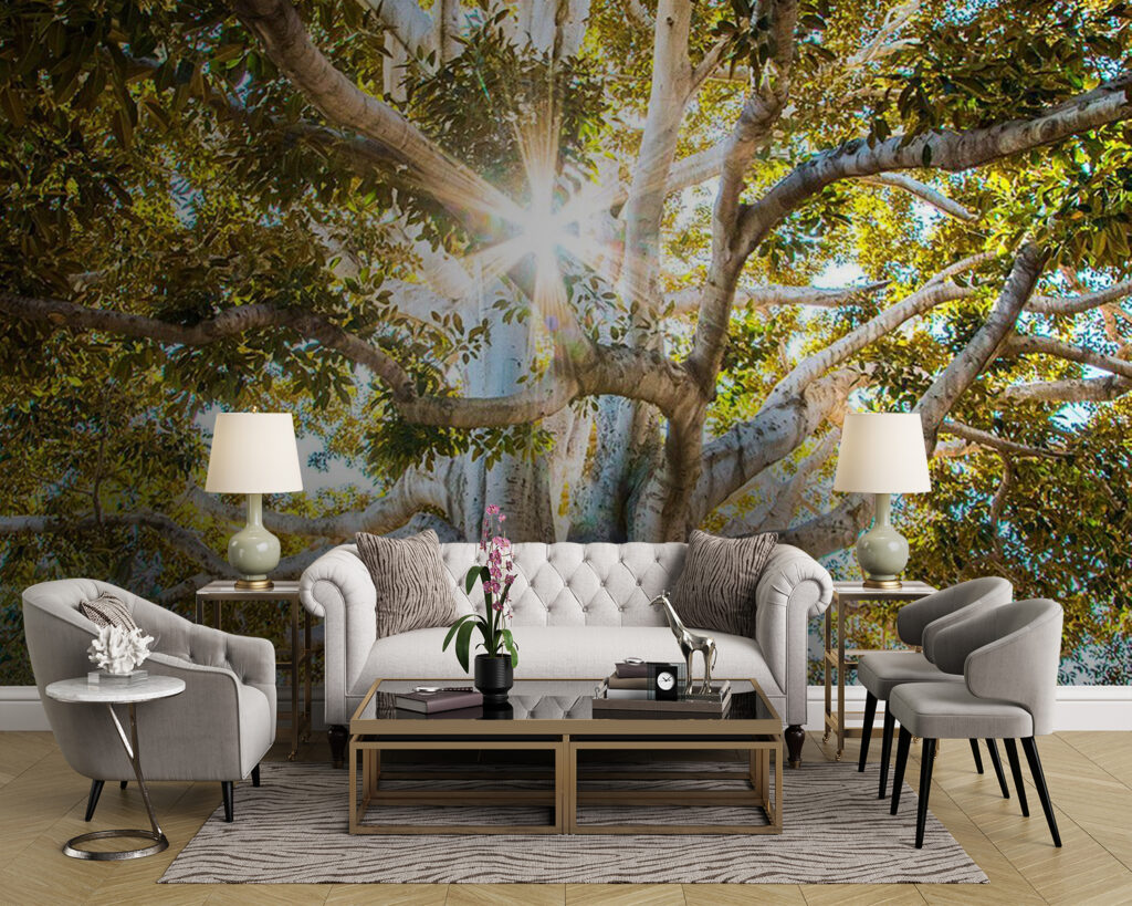 u01271pig43m 1024x819 - Majestueuze boom in stralend zonlicht - tegory