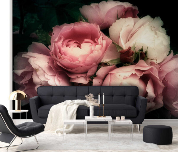 Groep roze en witte rozen Groep roze en witte rozen
