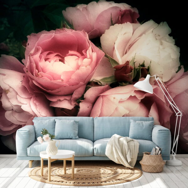 Groep roze en witte rozen Groep roze en witte rozen