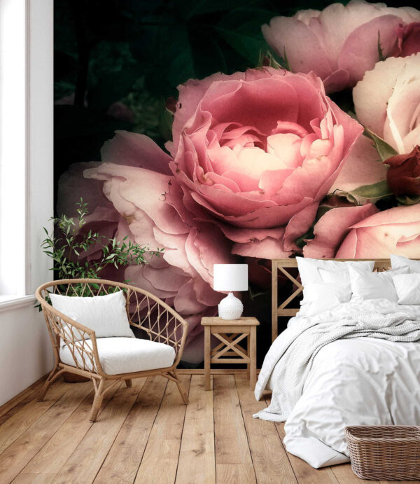Groep roze en witte rozen Groep roze en witte rozen