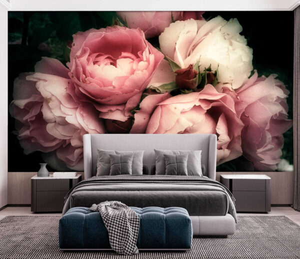 Groep roze en witte rozen Groep roze en witte rozen