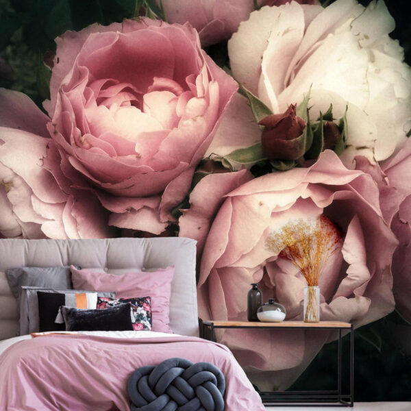 Groep roze en witte rozen Groep roze en witte rozen