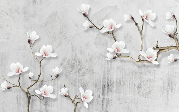 Witte bloemen op een witte achtergrond Witte bloemen op een witte achtergrond