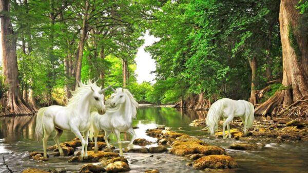 Groep witte eenhoorns in een rivier Groep witte eenhoorns in een rivier