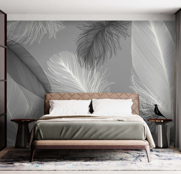 Delicate feathers in soft monochrome Delicate feathers in soft monochrome