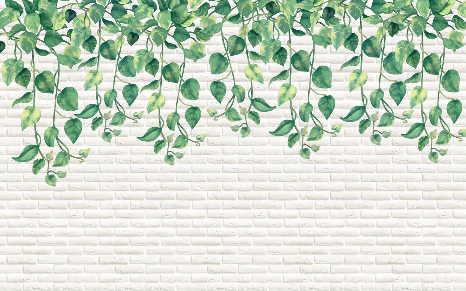 Witte bakstenen muur met groene bladeren u06501p - Witte bakstenen muur met groene bladeren - tegory