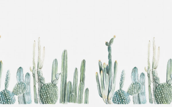 Groep cactussen op witte achtergrond Groep cactussen op witte achtergrond