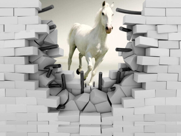 Paard rent door een muur Paard rent door een muur