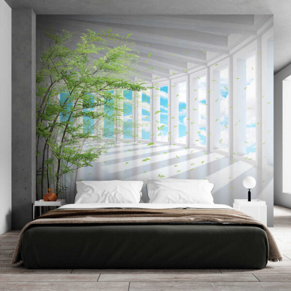 Tree in a room with windows Tree in a room with windows