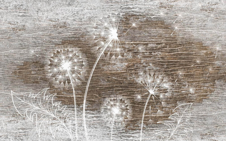 Witte paardenbloemen op een houten oppervlak