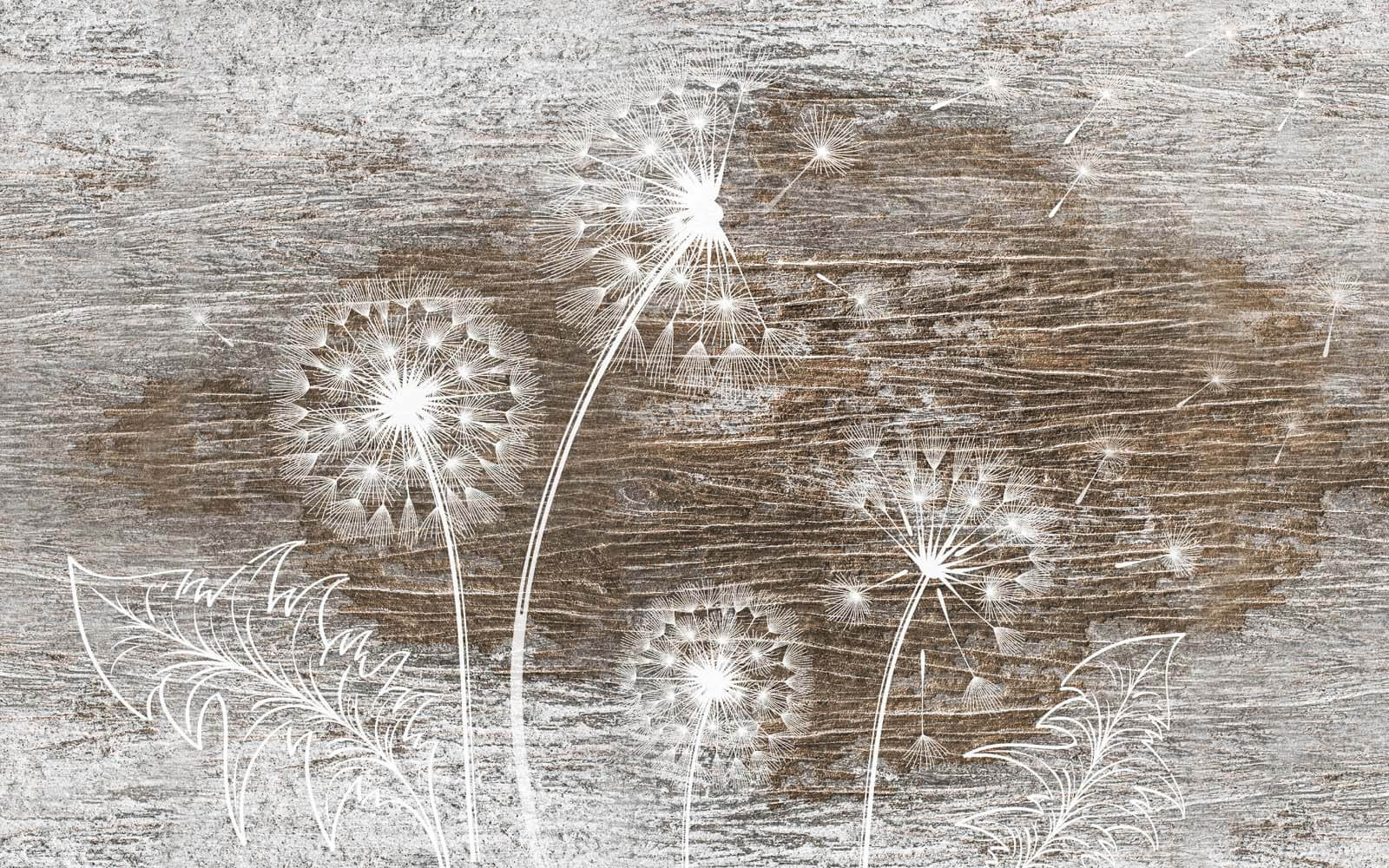 Witte paardenbloemen op een houten oppervlak u31086p - Witte paardenbloemen op een houten oppervlak - tegory