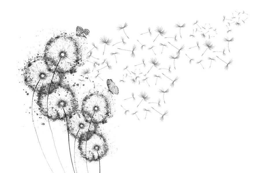 Groep vlinders vliegend in de lucht