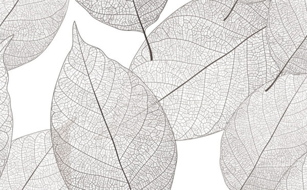 Delicate bladmotieven in witte ruimte Delicate bladmotieven in witte ruimte