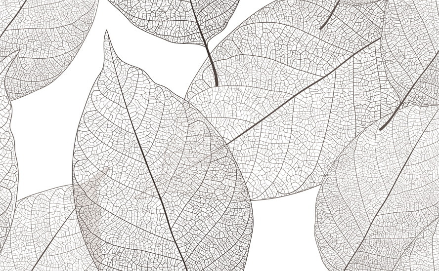 Delicate bladmotieven in witte ruimte