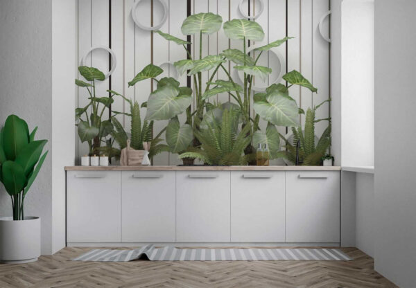 Plant met groene bladeren Plant met groene bladeren