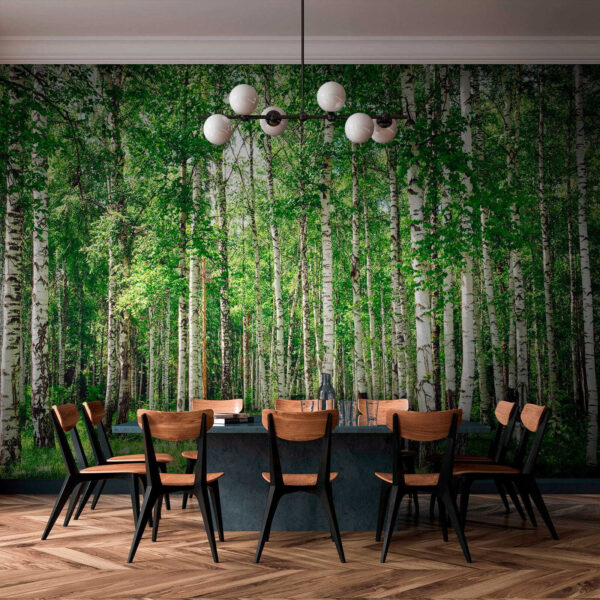 Groep bomen in een bos Groep bomen in een bos