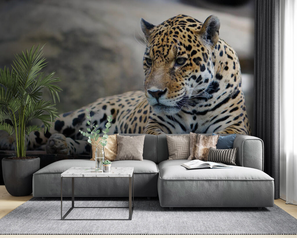 Luipaard liggend op een houten oppervlak u55313pig53 1024x819 - Luipaard liggend op een houten oppervlak - tegory