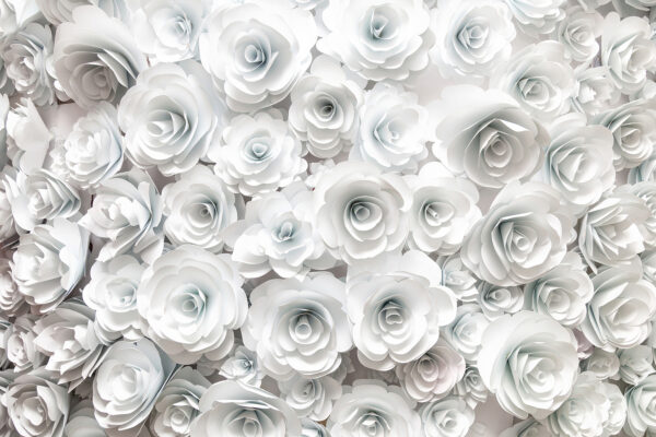 Groep witte bloemen Groep witte bloemen
