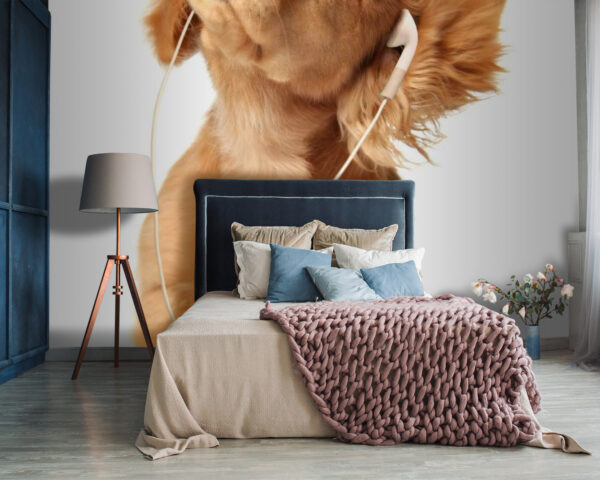 Hond met koptelefoon op u56551pib87 600x480 - Hond met koptelefoon op - tegory