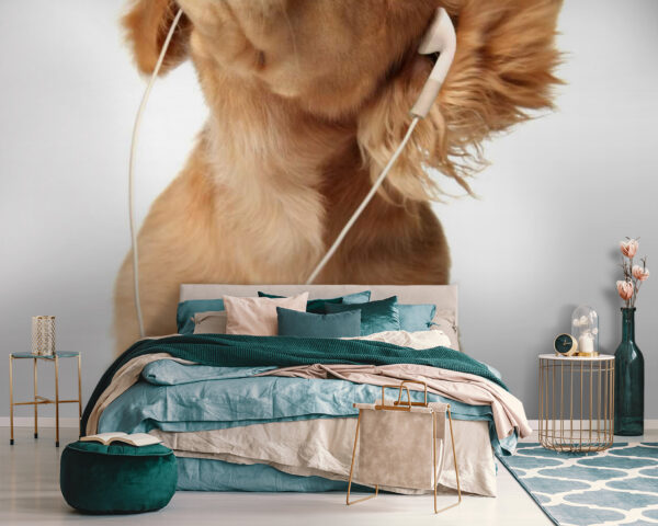 Hond met koptelefoon op u56551pib111m 600x480 - Hond met koptelefoon op - tegory