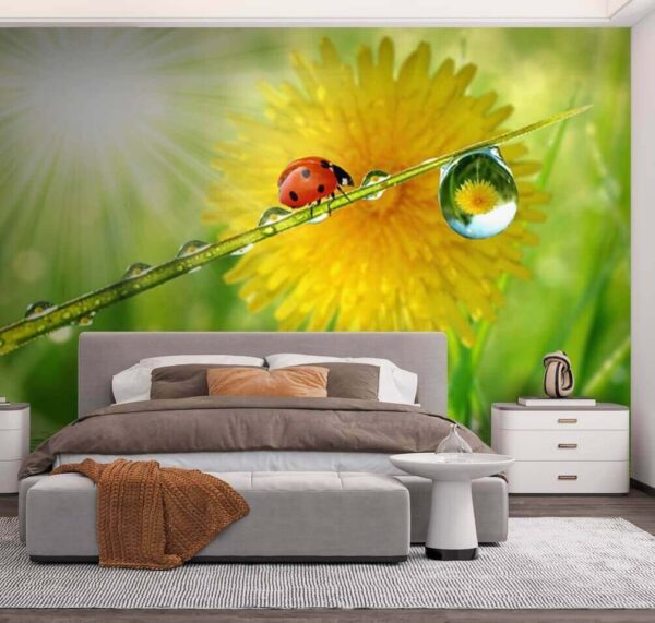 Lieveheersbeestje op een grasspriet met waterdruppels Lieveheersbeestje op een grasspriet met waterdruppels